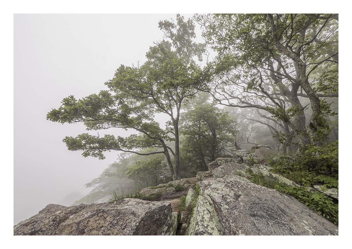 Shenandoah NP